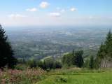 DSCN0024